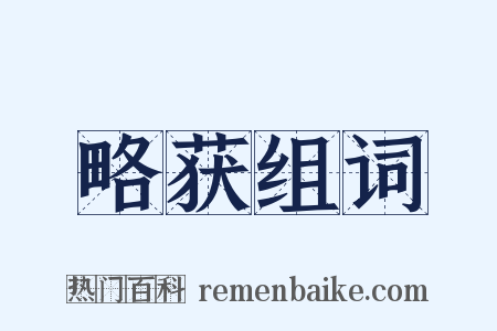 略获组词是什么意思的图片